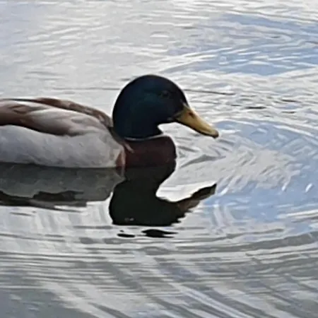 Downtown 旅馆 不莱梅