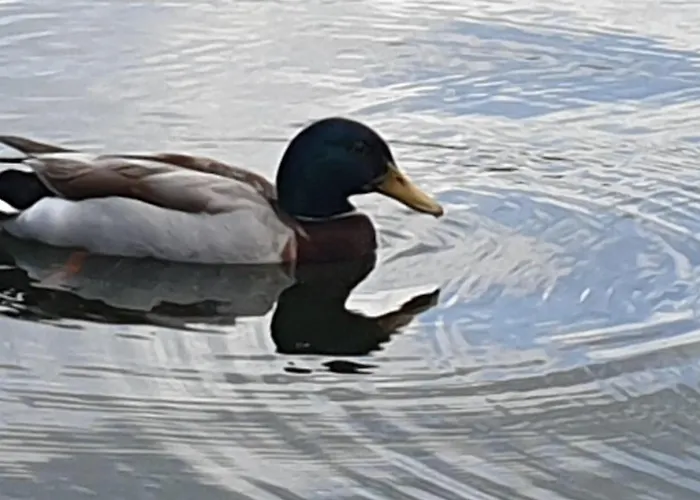 Downtown Hostel Brémy